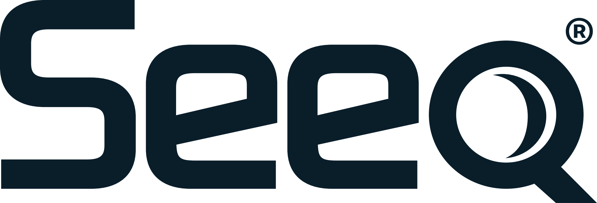 Seeq Logo
