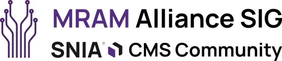 MRAMSIGlogo